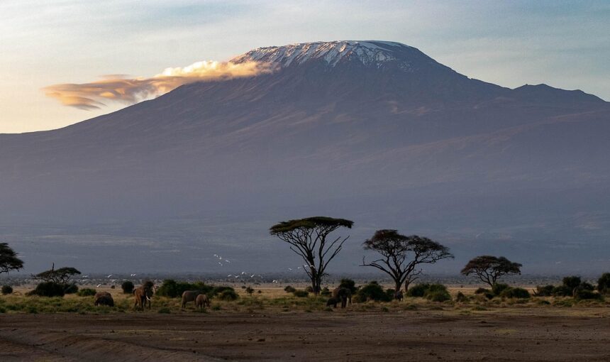 Amboseli National Park Day Tour