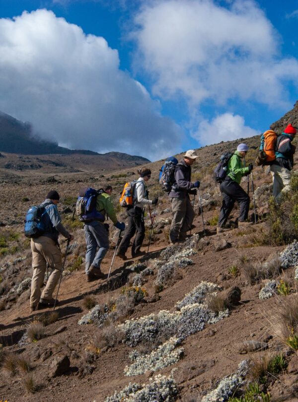 trekking