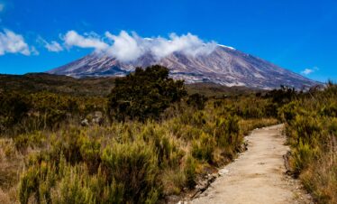 mt kilimanjaro