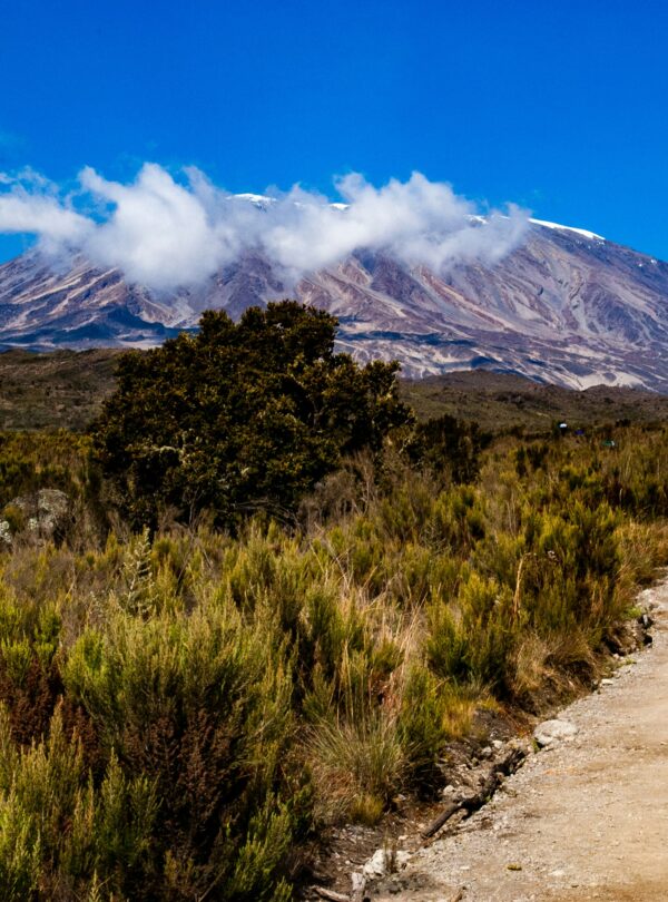 mt kilimanjaro