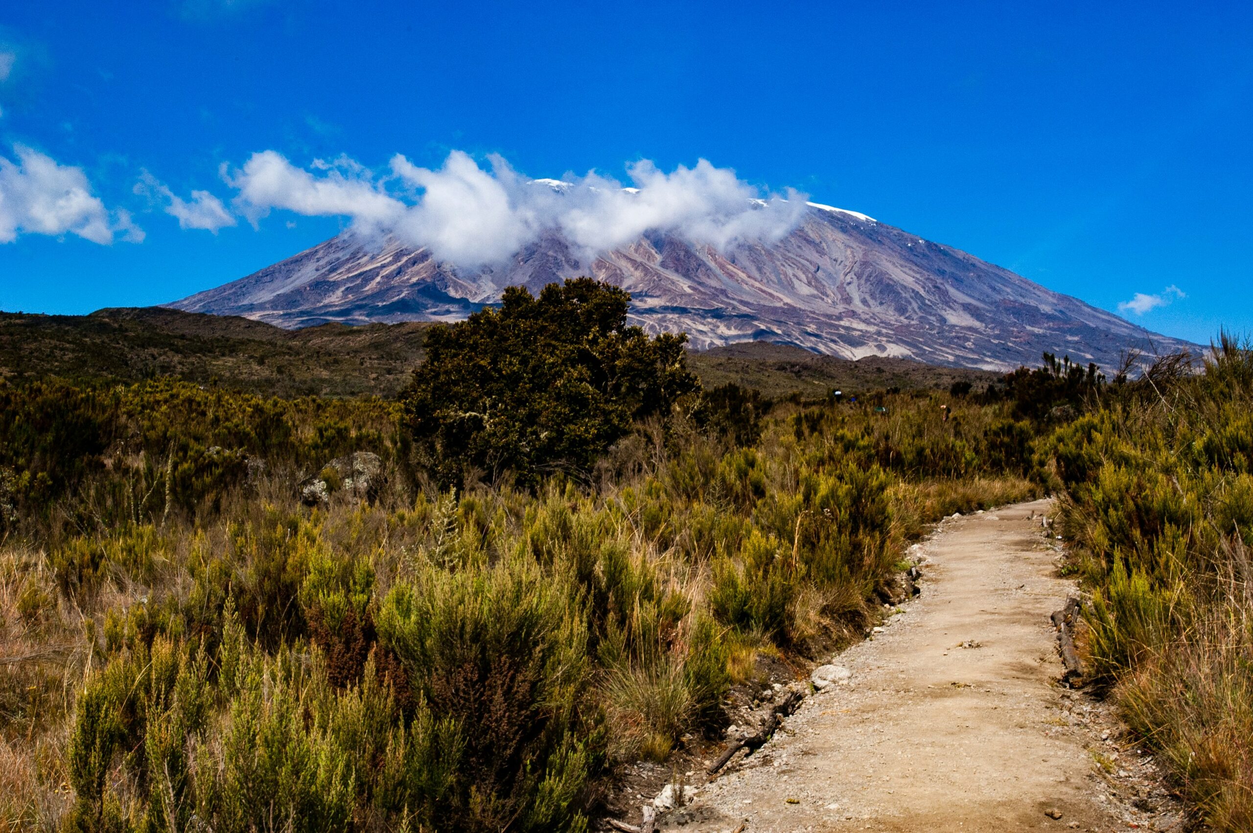 mt kilimanjaro