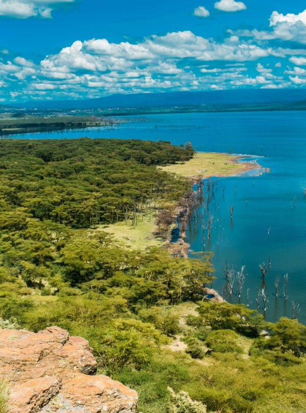 kenya, lake nakuru