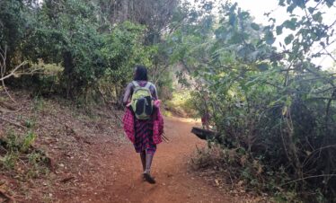 lost child forest walk