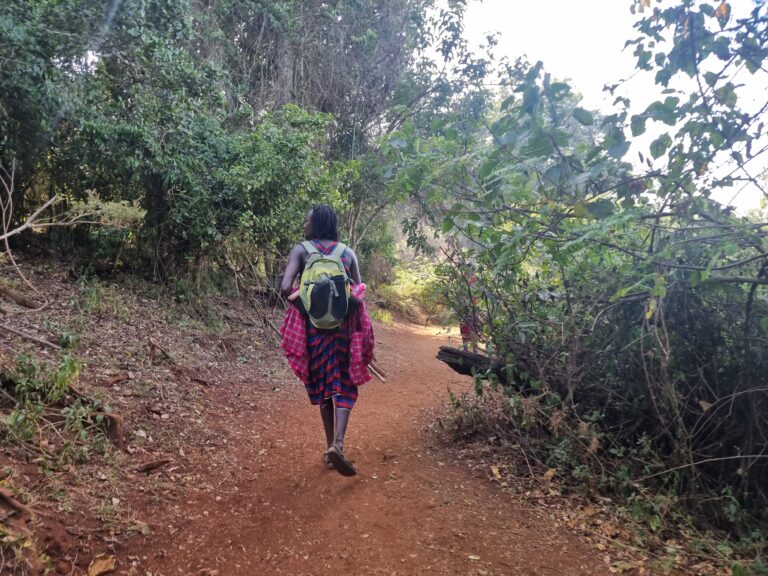 lost child forest walk