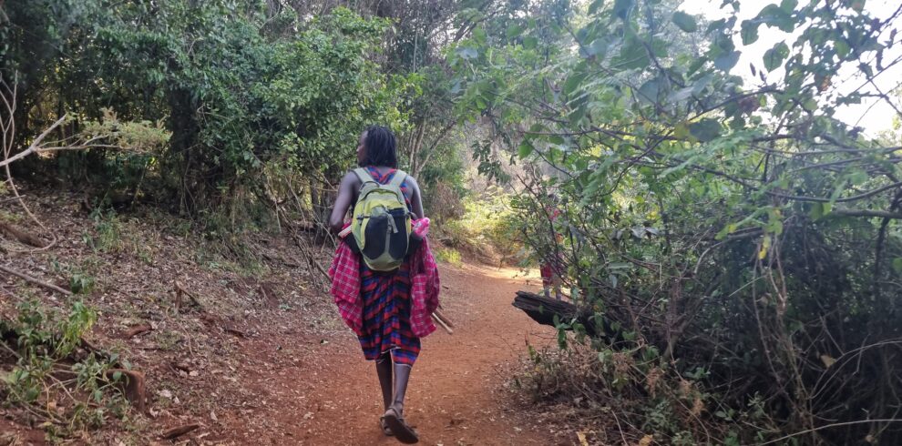 lost child forest walk