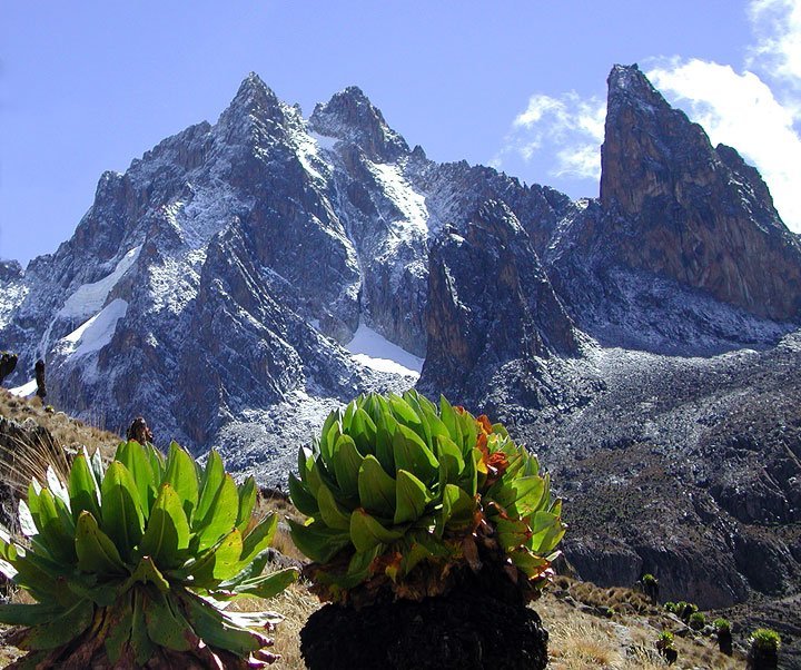 Mt kenya